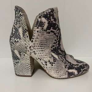 NEW Steve Madden Rockstar Booties